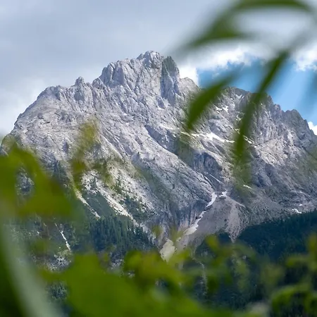 Cesa Leo كنازاي